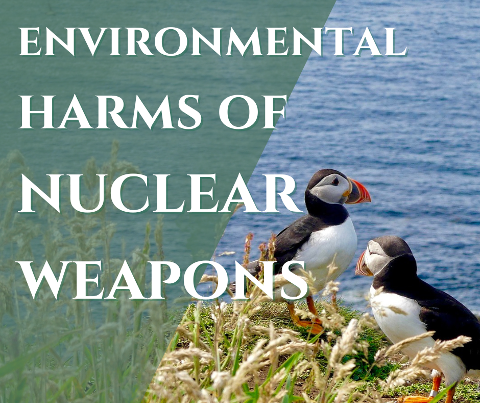 Text reads: environmental harms of nuclear weapons, overlaid over an image of Scottish puffins